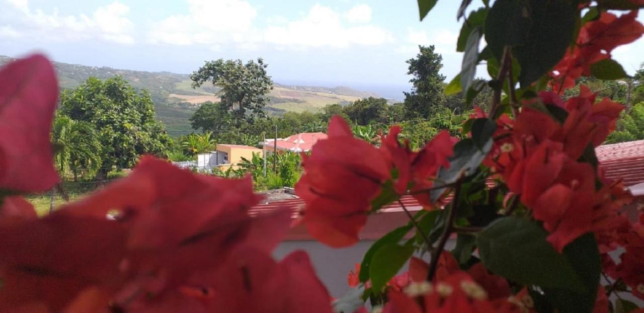 T2 Echappee Belle Sainte-Marie Kybo Karaib Location Pkg Mtgne Cosy Appartement Buitenkant foto